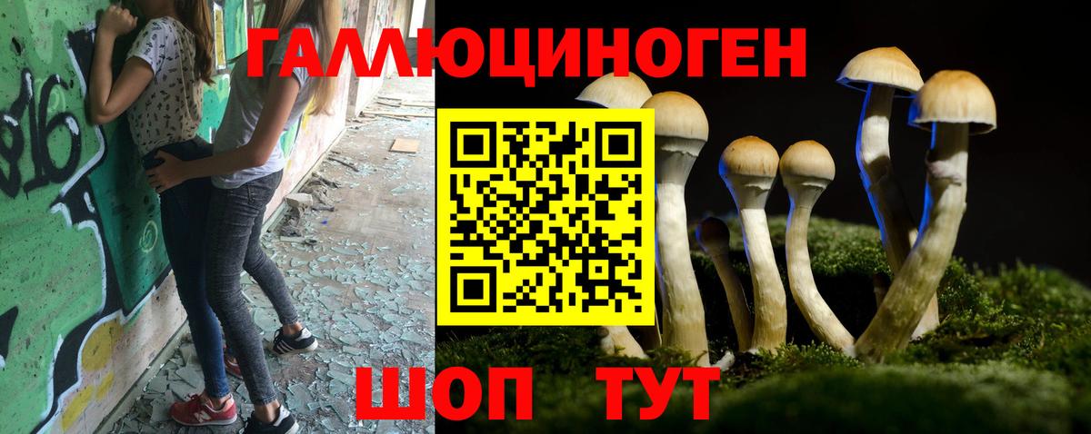 цены наркотик  Псилоцибиновые грибы Psilocybine cubensis  Горячий Ключ  Вход с VPN  Галлюциногенные грибы GOLDEN TEACHER 