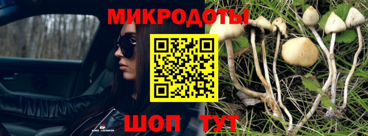 Галлюциногенные грибы GOLDEN TEACHER Горячий Ключ